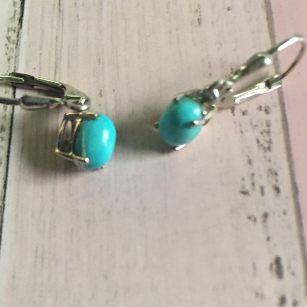 🦋STS 925 Turquoise Sterling Silver Earrings